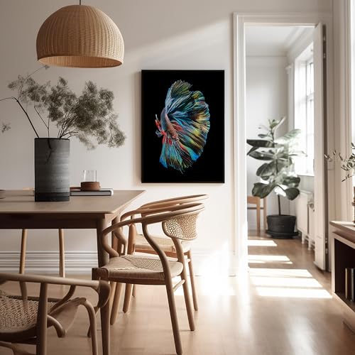 Monem Art Siamese Fighting Fish Print - The Betta Fish Poster - Marine Life Art - Animal Photography Wall Decor - Living Room or Office Decor - 8x10 Unframed Wall Art by Andi Halil - color: Style-03, size: 8"L x 10"W