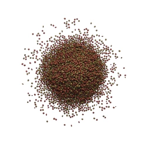 Plecoceramics Betta Fish Pellets Extreme Color, Complete Nutrition Plus Color Boost, Enhancing Floating Food Betta Fish (3.5 oz / 100 g)