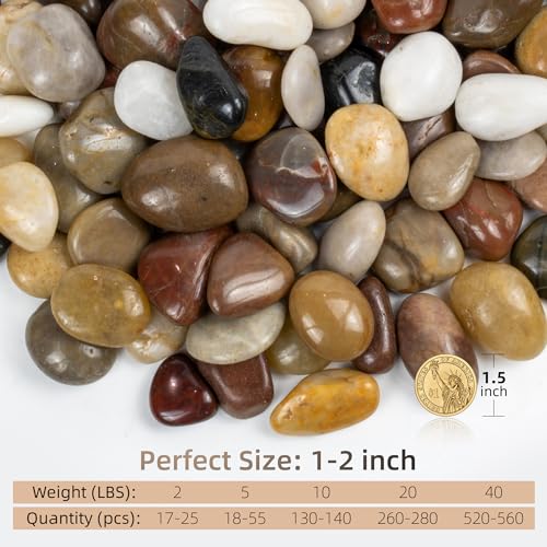 5lbs Pebbles for Indoor Plants, 1-2Inch Mixed Color Natural River Rocks for Aquarium, High Polished Decorative Stones for Vase Filler Fish Tank Landscaping Garden - color: Mixed Color, size: 5 Pounds
