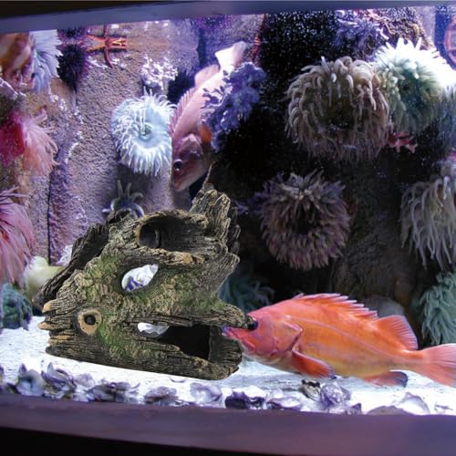 Joyzan Aquarium Tree Trunk, Hollow Landscape Stump Wood House Driftwood Resin Ornament Hideout Hideaway Caves Log Rock Craft Fish Tank Hole Stone Betta Cichlid Turtles Small Lizards Reptiles Amphibian - size: Type 3