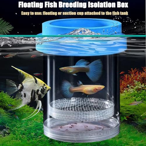 Breeder Box for Fish Tank, Plastic Aquarium Breeding Chamber, Floating Mesh Isolation Hatchery Incubator for Small Fish, Betta Shrimp Clownfish Guppy - Adjustable Nursery Tank Divider (Blue, Medium) - color: Blue