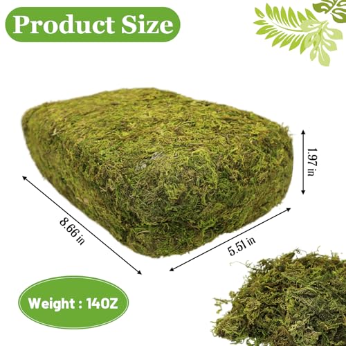 Riare 14OZ Artificial Fake Moss for Fake Plants Indoor- Premium Faux Craft Moss for Potted Plant, Fresh Forest Green Moss for Hamsters Micro-Landscape Terrariums Centerpieces Decor - color: 14 Oz