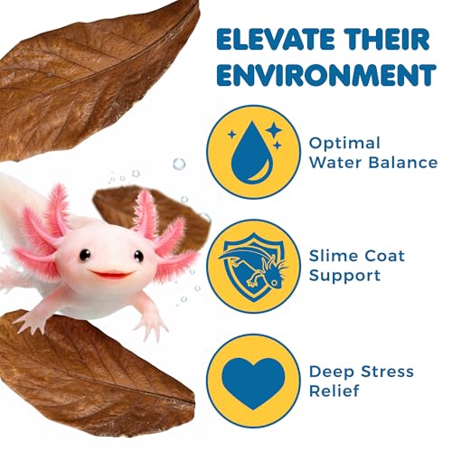 SunGrow 10 Pack Axolotl Indian Almond Leaves for Aquarium, 8-Inches, Catappa Leaf Soothes Pet’s Slime Skin, Aquarium Water Conditioner Leaves Improves Tank Water Quality, Speeds Up Recovery Process - style: Large (8")