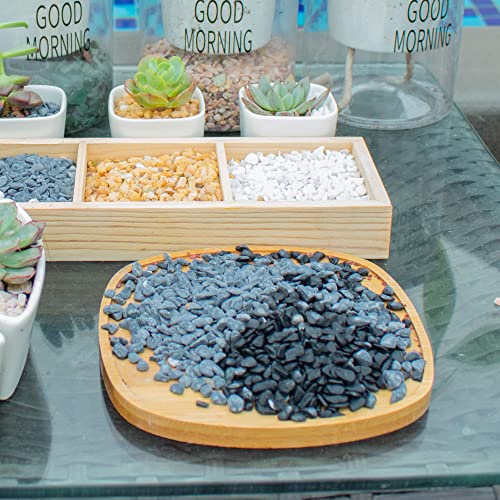 3lb Black Cactus Pea Gravel Rocks,1/4 Inch Pebbles for Indoor Plants, Natural Succulent Rock and River Rocks Decorative for Aquariums, Vases, Outdoor Gardening, Top Dressing for Potted Plants - color: Black Galaxy, size: 3LB