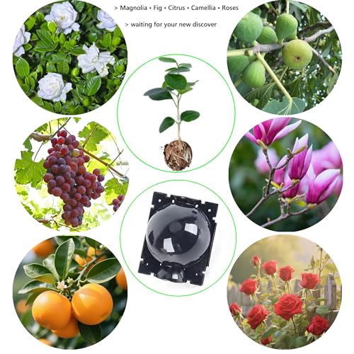 Tree Root Growing Box – Air Layering Propagation Pods for Woody Plants, Reusable Transparent Rooting Device for Magnolia, Fig, Citrus & Roses (10pcs Small, 3–9mm Branches) - color: Black-s-10pack