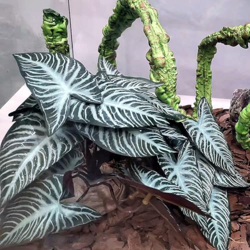 Reptile Plants,Terrarium Decor,Amphibian Habitat Decor,Artificial Plants for Gecko Chameleon Snake Tortoise Tank Accessories with Base(Xanthosoma sagittifolium) - color: Xanthosoma Sagittifolium