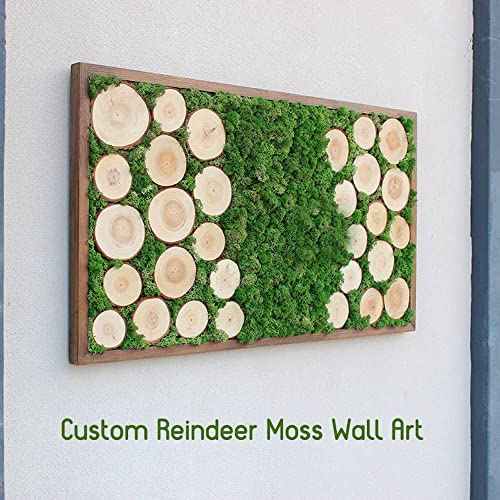 Preserved Reindeer Moss Natural Green DIY Kit Gardenning Art Wall Decor Florist Decor Easter Table Decor Wedding - color: Green-08, size: 0.85 lb