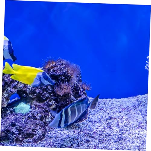 HANABASS Aquarium Background Paper Aquarium Wallpaper Fishtank Background Sticker Fish Tank Backing Background Wallpaper for Tank Aquarium Sticker Aquarium Underwater Poster PVC Blue - color: Blue