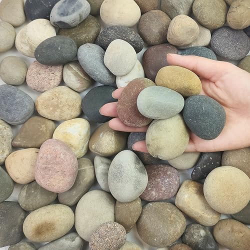 FANTIAN 5 lbs Pebbles for Plants, 1-2 Inch Decorative River Rocks for Plants Indoor, Landscape, Garden, Aquarium, Fountain, Walkways and Outdoor Decorative Stones - color: Mixed, size: 5 lbs, 1-2 Inch