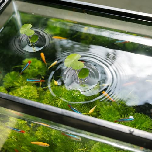 12PCS Creative Floating Floral Arrangement Holder,Floating Flower Display Stand Include 2 Fish Tank Shelf DIY Clear Acrylic Flower Bowl Stem Holder for Small Single Flower Water Plants/Fish Tank Float