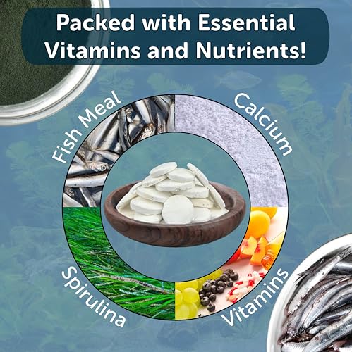 Calcium Feeding Shells, Small & Medium for Shrimp, Snails, Crabs, Crayfish, Plecos, Catfish, All Tropical Fish, 4-Type Wafer & 12-Type Pellet Mix Included...90 Count Canister - size: 90 Count (Pack of 1)