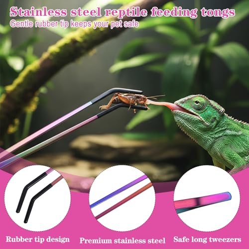 3PCS Stainless Steel Reptile Feeding Tongs with Rubber Tip, 10.6" Straight Curved Long Tweezers, Extra Long Aquarium Tweezers for Bearded Dragons, Lizards, Terrarium Tank Supplies
