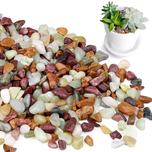 5lbs Pebbles for Indoor Plants, 3/8 Inch Small Rocks for Potted Plants, Succulents, Vase Fillers, Cactus Planters, Bird Bath, Fountain, Outdoor Garden Landscaping - color: Colorful