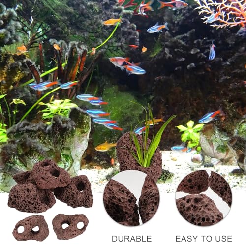Yardwe Aquarium Rocks Volcanic Rocks 6Pcs Decorative Rocks Fish Tank Aquarium Landscape Ornaments (Random Color)