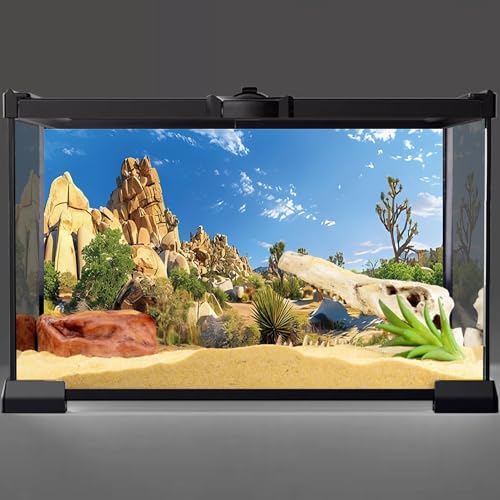 AWERT 72x16 inches Reptile Habitat Background Stone Blue Sky Oasis Cactus Sun and Desert Terrarium Background Polyester Background - size: 72x16in/180x40cm