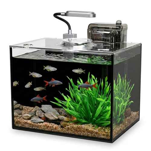 2.5 Gallon Betta Fish Tank, Small Aquarium Kit,Glass Small Fish Tank,Betta Fish Tank with a lid and Light and Filter, Small Transparent Glass Fish Tank with Light and Filter (Black Glass Background) - size: 2.5 Gallon