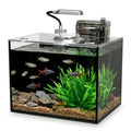 2.5 Gallon Betta Fish Tank, Small Aquarium Kit,Glass Small Fish Tank,Betta Fish Tank with a lid and Light and Filter, Small Transparent Glass Fish Tank with Light and Filter (Black Glass Background) - size: 2.5 Gallon