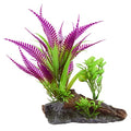Underwater Treasures Purple Fern On Root