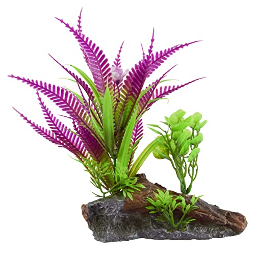 Underwater Treasures Purple Fern On Root