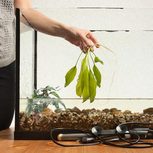 Alipis Reptile Pet Case Artificial Plant Ornament for Environment Decoration Simulated Green Plant Landscaping Accessory for Terrarium and Aquarium Use