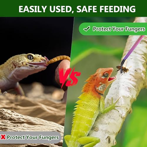 3 PACK Stainless Steel Reptile Feeding Tongs,10.62" Straight &Curved Long Feeding Tweezers&Bowl Set,Non Slip Feeding Tools with Rubber Tip,Bearded Dragon Tank Accessories (A-colorful) - color: A-colorful