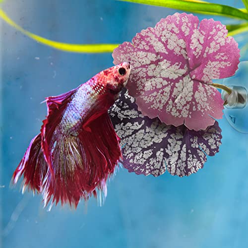 iplusmile Aquarium Leaf Hammock with Suction Cup Fish Tank Decoration Realistic Simulated Aquatic Plant Resting Spot for Betta Fish Stress Relief
