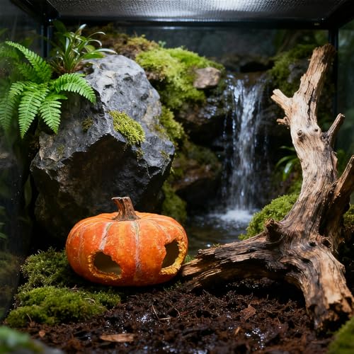 Pumpkin Reptile Hide for Leopard Gecko Hiding & Camouflage | Sunbathing Platform for Bearded Dragon & Leopard Gecko, Decorative Tank Accessory - color: Orange-Mediu