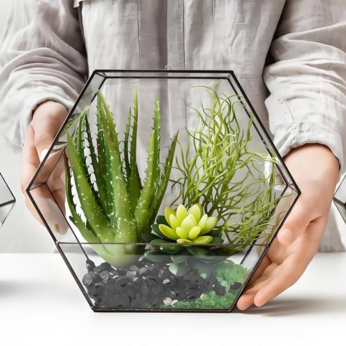 FANTIAN 10 lbs Small Black Pebbles for Indoor Plants. 3/8 inch Decorative Black River Rocks for Succulent Potted Plant, Vase, Landscaping and Outdoor Garden Rocks - size: 10 pounds, style: Black