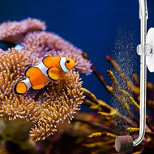 DONGKER Aquarium CO2 Diffuser,Acrylic Fish Tank CO2 Atomizer with Suction Cups for 4mm I.D. CO2 Air Tube(Up to 30cm Fish Tank)