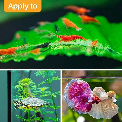 Sukh 30 Indian Almond Leaves for Betta - Large Catappa Aquariums Almond Water Conditioner Aquarium Shrimp Tank Betta Tank Decorations Leaf Hammock Fish Tank Accessories
