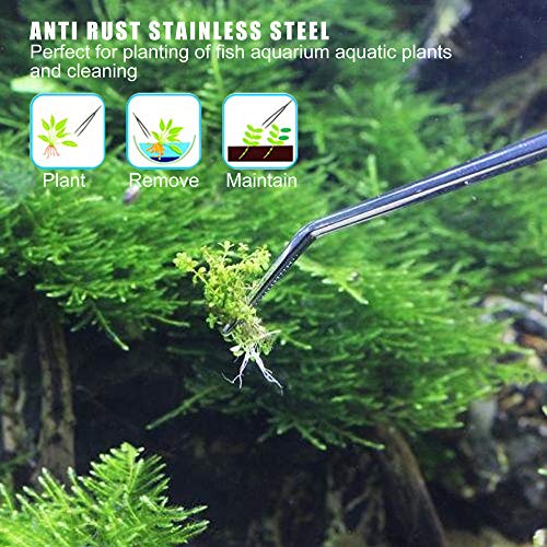 Longjet Kitchen Tongs Metal Tweezers for Cooking - Reptile Feeding Tongs for Gecko, Bearded Dragon, Snake - Long Forceps for Aquarium Plant - color: Silvery-10.5"/2pcs