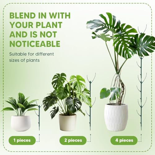 5 Pack Stackable Monstera Plant Support, Garden Plant Support Stakes for Indoor Outdoor Plants, Climbing Plant Support Structures Plant Holder Stick Moss Pole for Support Tall Potted Plants (5)