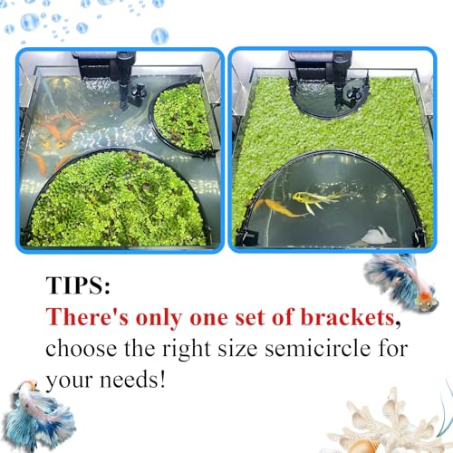 Floating Plant Corral for Aquarium, Fish Tank Accessories to Protects Duckweed from Filters, Automatically Adjusts Height According to Water Level, Suitable for All Duckweed and all aquariums(Style 2) - size: Style 2