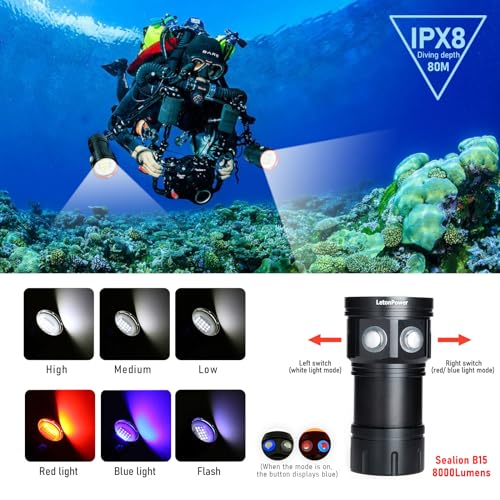 B15 Dive Light Underwater Flashlight 8000Lumens Underwater Video Lights 80m Scuba Dive Light Diving Flashlight for Under Water Sports,Underwater Video Shooting and Photography - color: Sealion B15