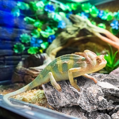 12lb Seiryu Stone, Aquarium Rocks for Terrariums, Paludarium, Vivariums, Reptile, Amphibian Enclosures, Fish Tank Decor for Aquarium Landscaping Models