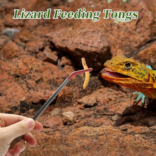 Stainless Steel Reptile Feeding Tongs, Curved Aquarium Tweezers with Rubber Tip, Terrarium Tongs for Gecko, Lizard & More, 10.63" Length, Red
