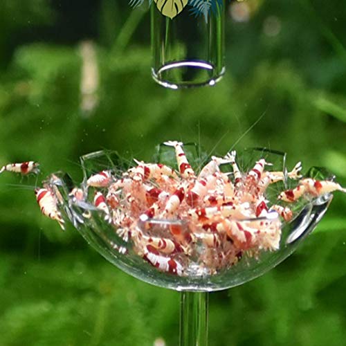 Shrimp Feeding Tube and Feeding Dish, Fit for Shrimp Fish, Mini Size, High Transparent Acrylic Material