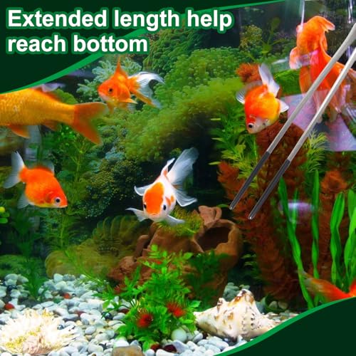 2PCS Stainless Steel Reptile Feeding Tongs with Rubber Tip, 10.6" Straight and Curved Long Tweezers Terrarium Aquascape Tools Feeder for Lizards, Bearded Dragon Snake Enclosure Tank Accessories