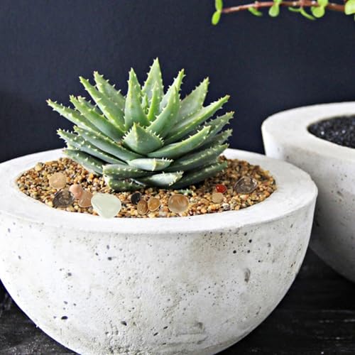 Pack Polished River Rocks Gravel for Aquarium Succulents Bonsai Planters Outdoor Landscaping Decorative Natural Pebbles for Walkways Fountains and Crafts