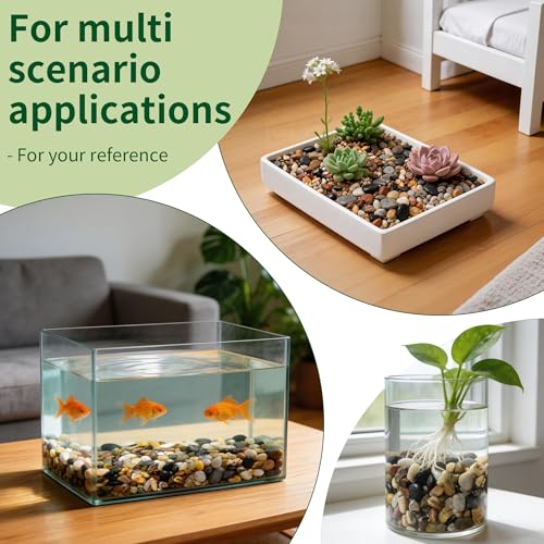 Small Rocks for Plants，3/8" Small Pebbles，1lbs Small River Rocks Decorative Pea Gravel，Pebbles for Indoor Plants, Vases, Bamboo, Succulent, Terrarium, Crafts, Cactus - color: Natural Mixed Color, size: 1 LB