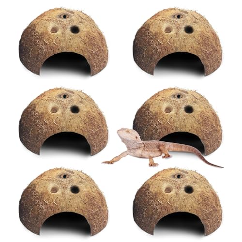 Natural Coconut Reptile Hideouts Lizard, Coco Hut Hermit Crab Hut Aquarium Fish Hide Cave for Small Reptile Crested Gecko Leopard Gecko Spider Snail Climber Toys (6 PCS Natural Surface)