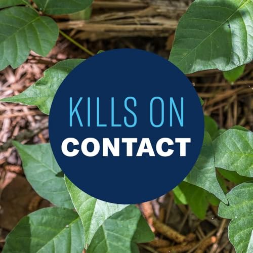 BioAdvanced Brush Killer Plus, Weed Killer Spray, Ready-to-Use, 1 Gallon, Kills Tough Brush Roots & Poison Ivy