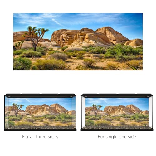 8x6ft Bearded Dragon Tank Background Durable Polyester Terrarium Background, Joshua Tree National Park Desert Cactus Sandstone Backdrop for Reptile Habitat Tank - size: 8x6ft