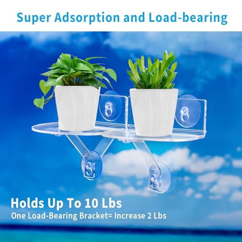 2-Pack Acrylic Window Plant Shelves with Suction Cups & Support Brackets - Rectangle Window Sill Extender for Herb Pots, Succulents, Flower Boxes, Micro Greens | Indoor/Outdoor Use