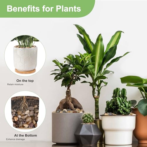 Pulovin 2.5 lbs Drainage Rocks for Potted Plants, 1/5 Inch Small Pebbles for Indoor Plants, Decorative Gravel for Vases, Bamboo, Succulent, Terrarium, Crafts, Cactus - color: Colored