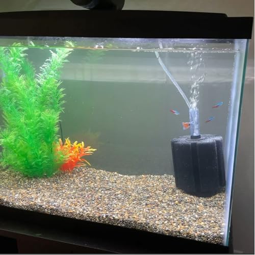 Bio Sponge Filter for Betta Fry Aquarium Fish Tank Up to 60 Gallon Each, 3-Pack (L)