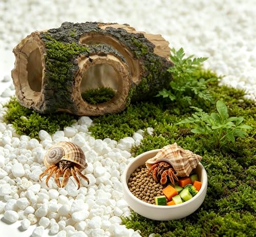 Beard Dragon,Lizard and Reptile Hide,Fish Tank Accessories Hides,Aquarium Decor for Betta Fish,Shrimp,Hermit Crabs,Spiders,Mice,Leopard Geckos,Toads and Frogs (Brown, m)