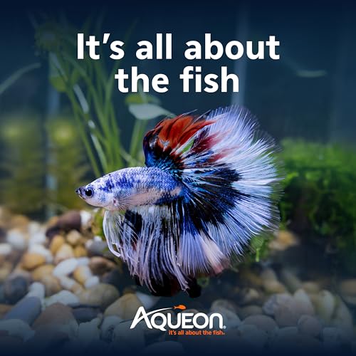 Aqueon LED MiniBow Small Aquarium Fish Tank Kit with SmartClean Technology, Black, 5 Gallon - color: Black, size: 5 Gallon