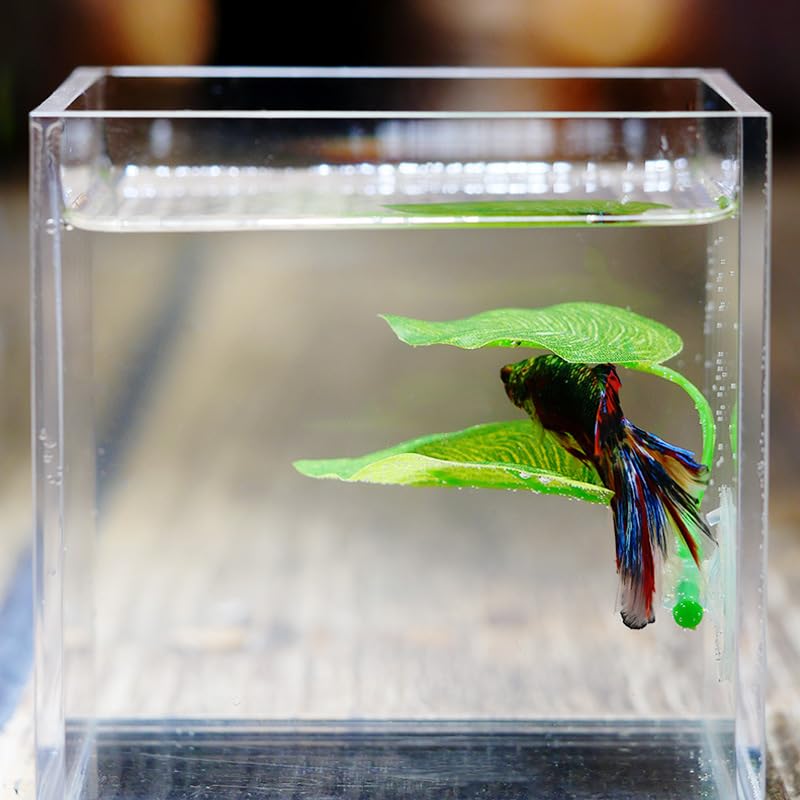 3 Pack Betta Fish Leaf Pad Improves Betta's Health by Simulating The Natural Habitat - Betta Fish Leaf Hammock, Natural, Comfortable Rest Area for Fish Aquarium Ornaments