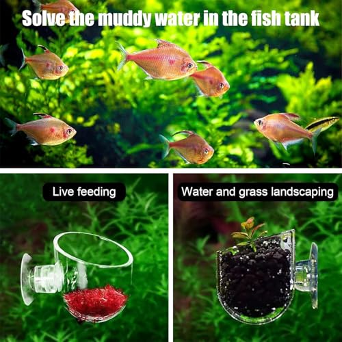 KABASI 3 Pack Aquarium Plant Holder Pot, Red Worm Fish Shrimp Feeder, Clear Acrylic Aquatic Plant Cup with Suction Cups for Home Fish Tank Aquascape Decor